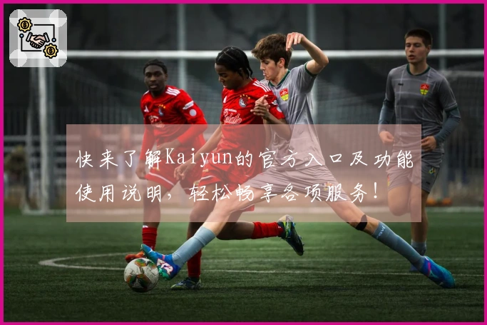 快来了解Kaiyun的官方入口及功能使用说明，轻松畅享各项服务！